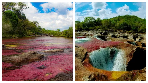 Cano Cristales River Of Five Colours
