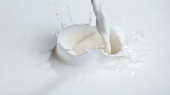 milk