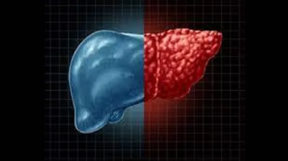 liver