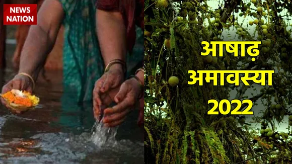 ashadh amavasya 2022 amla plant