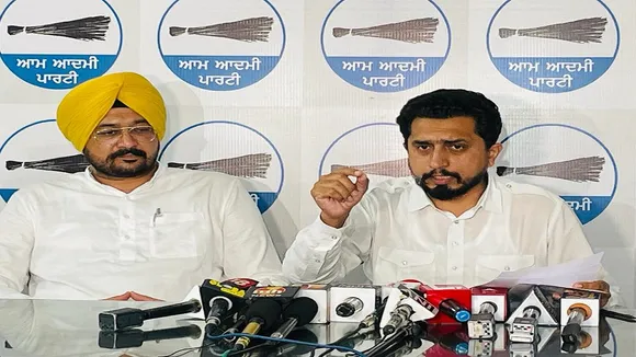 AAP