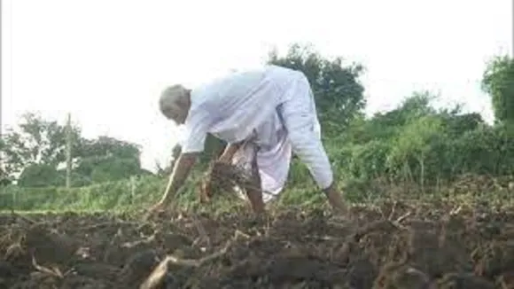 farming