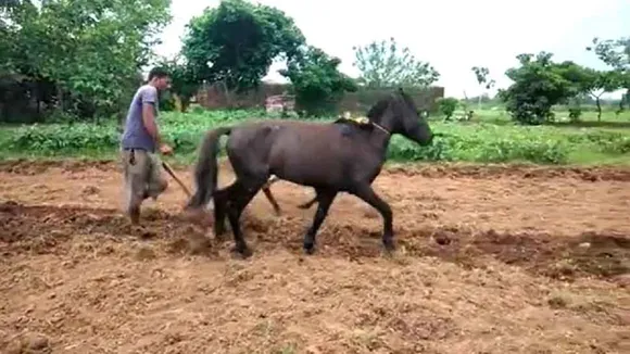 bihar