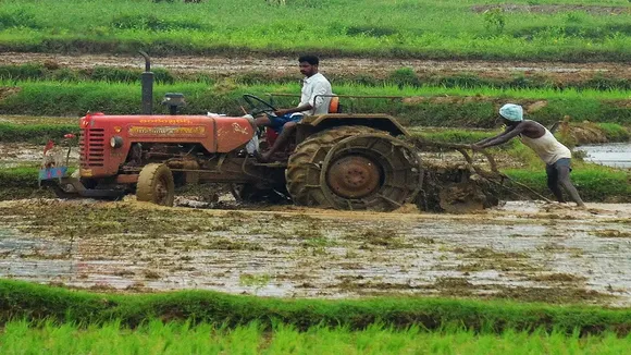 farmer