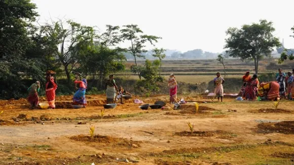 mnrega