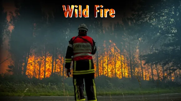 Wild Fires