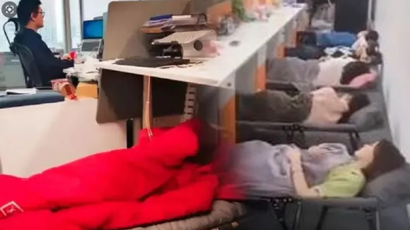 Employees sleep At Office