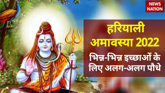 Shravan Amavasya 2022 Plants For Pitr Dosh