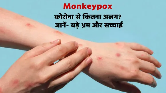 monkey