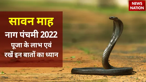 nag panchami 2022 nag devta puja beneifts and 12 nag puja