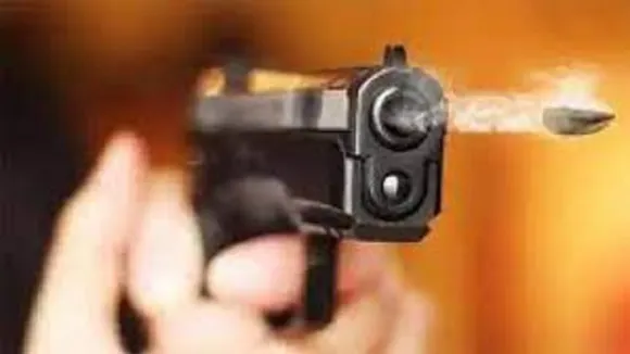 gun
