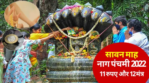 Nag Panchami 2022 11 Rupay aur 12 Mantra