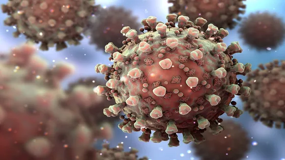 Coronavirus in india