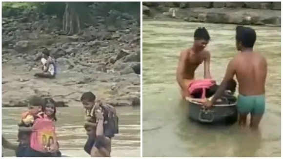 वायरल वीडियो