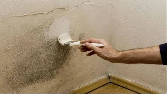 Appearance Of These Things In Walls
