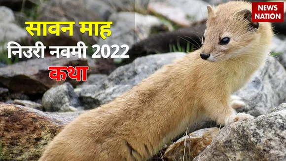 NIURI NAVAMI 2022 KATHA