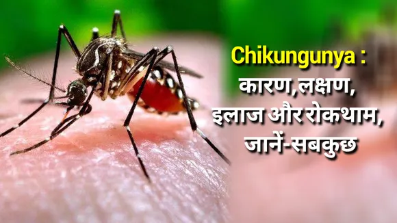 chikunguniya