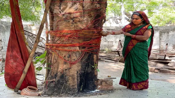 Auspicious Tree Benefits