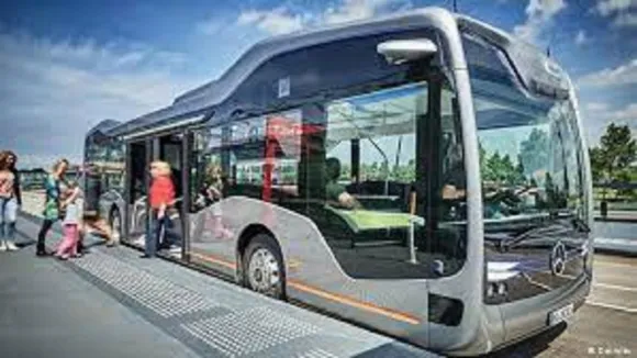 bus
