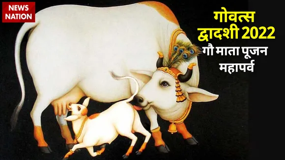 cow mata