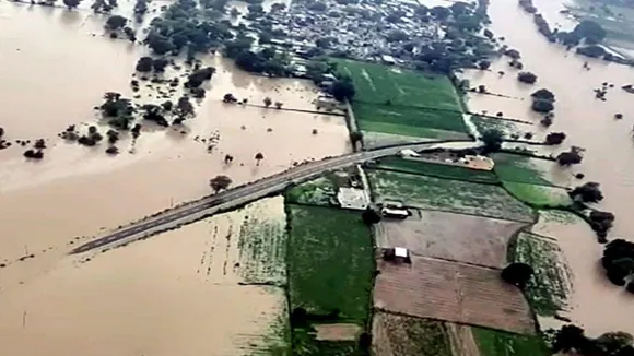 Chambal river