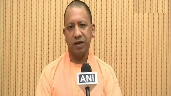 yogi