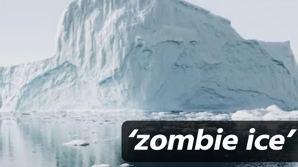 Zombie Ice