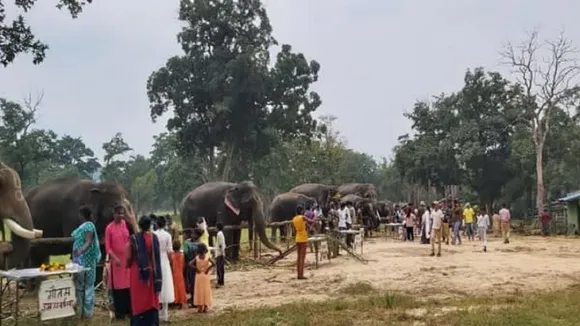 bandhavgarhhathimahotsav