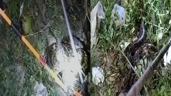 python