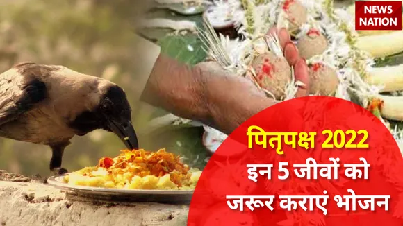 Pitru Paksha 2022 Mukhya Jeev