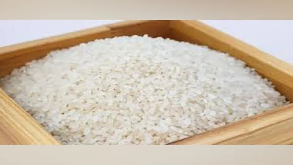 Rice