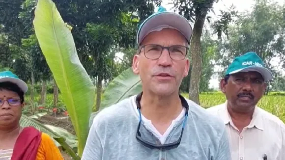 katihar banana