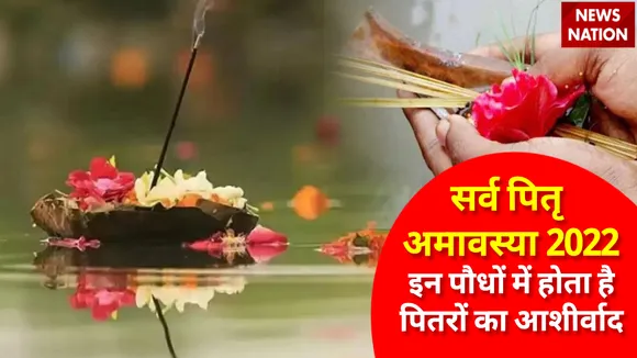 Sarv Pitru Amavasya 2022 Pitr and Plants