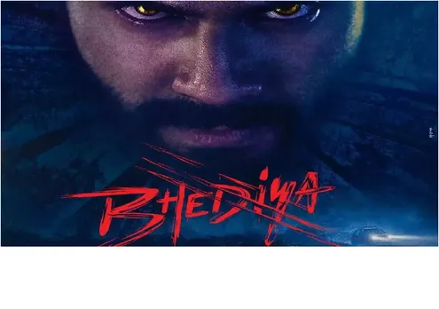 varun bhediya 890349049
