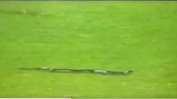 Snak in Barsapara Cricket Stadium IND vs SA