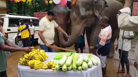hathi rajani