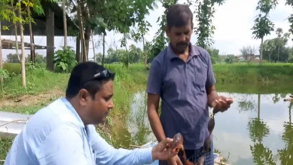 moti farming