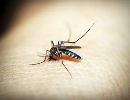 Lucknow dengue report