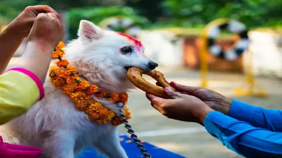 Kukur Tihar 2022