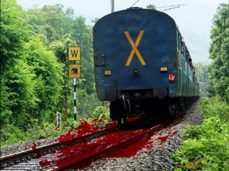 Three killed