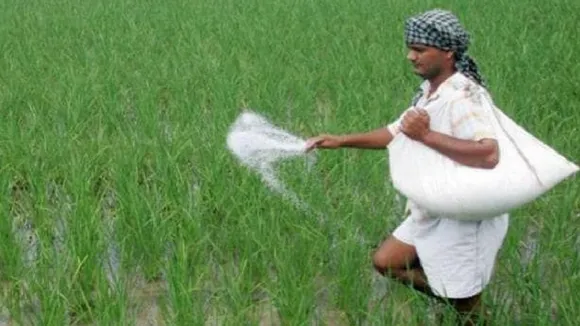 fertilizer