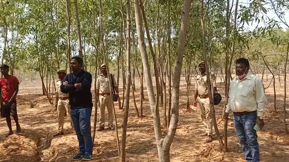 gumla forest