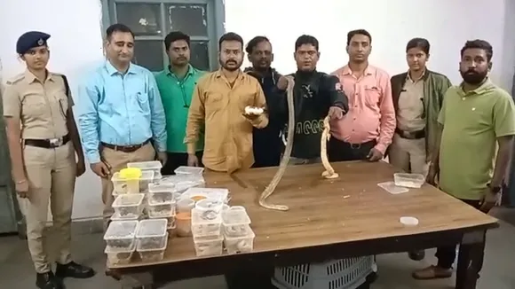 taskari