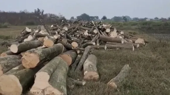 samastipur green trees