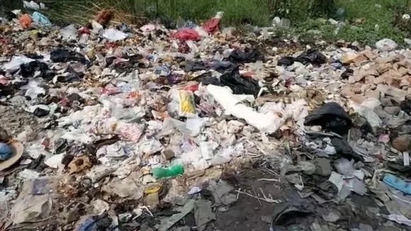 bio waste