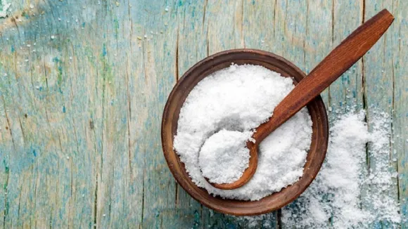 Namak Vastu Tips 2022