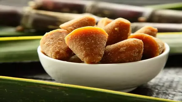 Jaggery Upay 2022