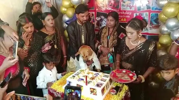 dog birthday party