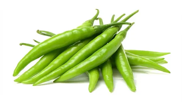 Green Chili Remedies 2022