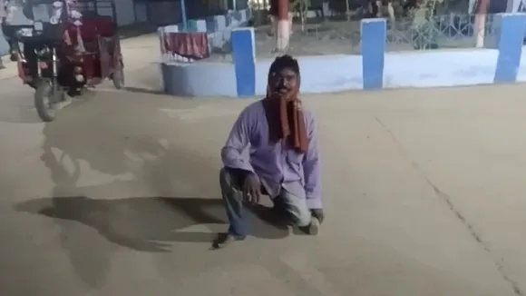 viklang